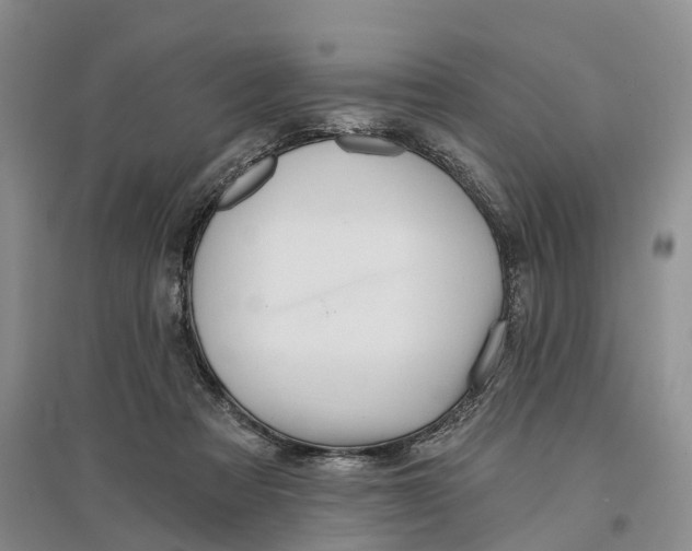 X0000096710313200802261635