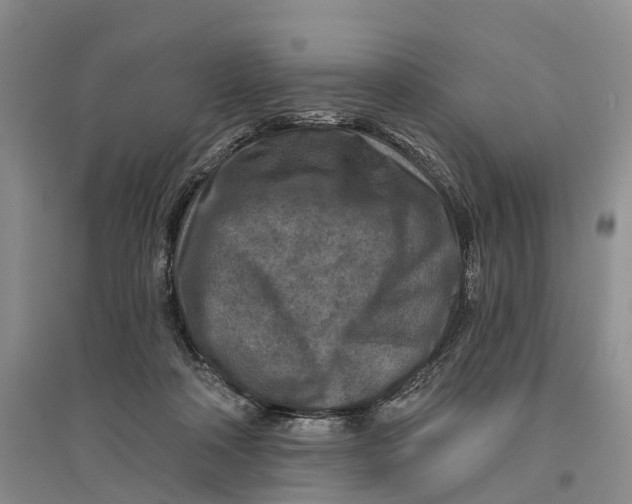 X0000096710314200802261635