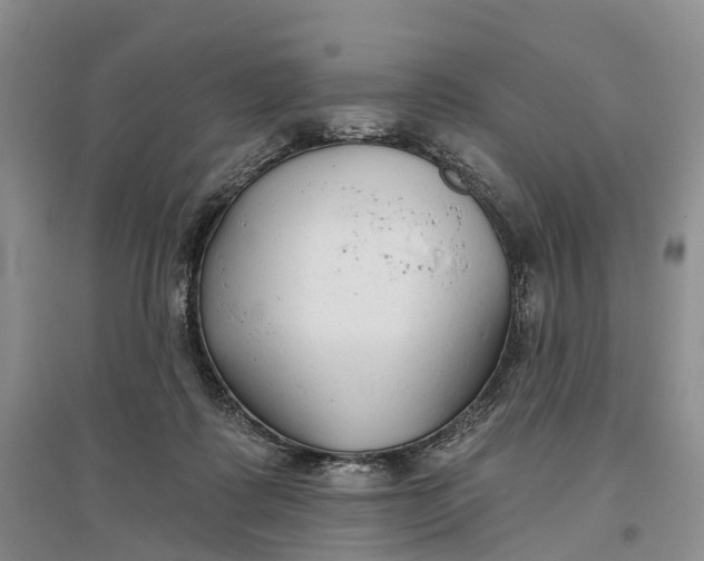 X0000096710315200802261635