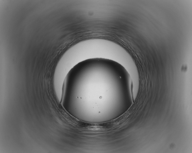 X0000096710316200802261635