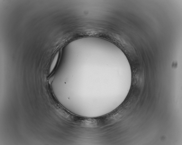 X0000096710317200802261635