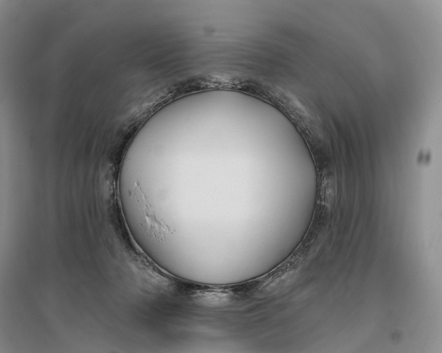 X0000096710318200802261635