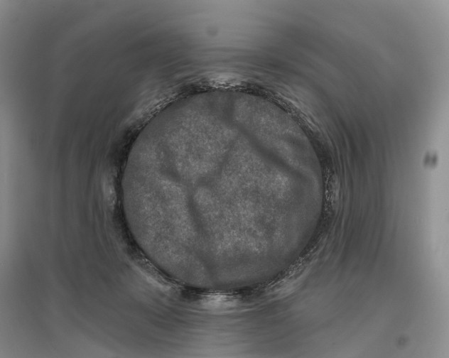 X0000096710319200802261635