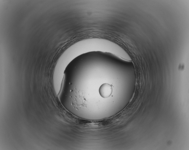 X0000096710320200802261635