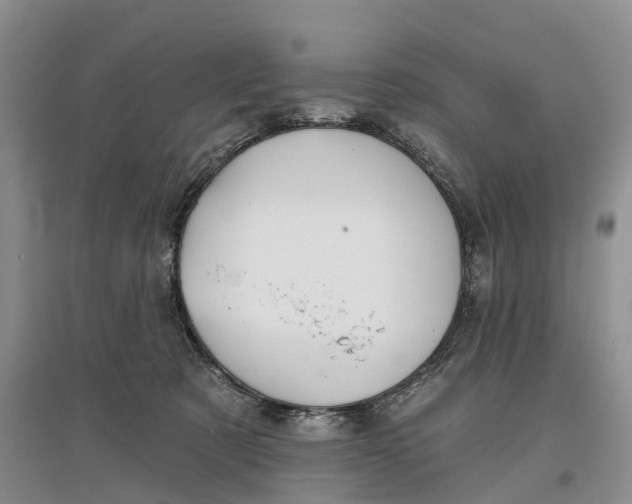 X0000096710321200802261635