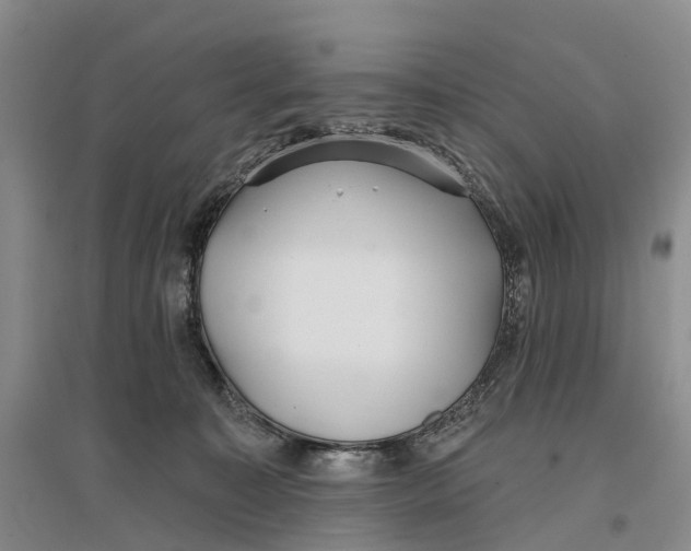 X0000096710323200802261635