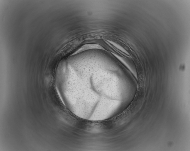 X0000096710324200802261635