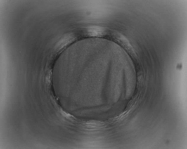 X0000096710325200802261635