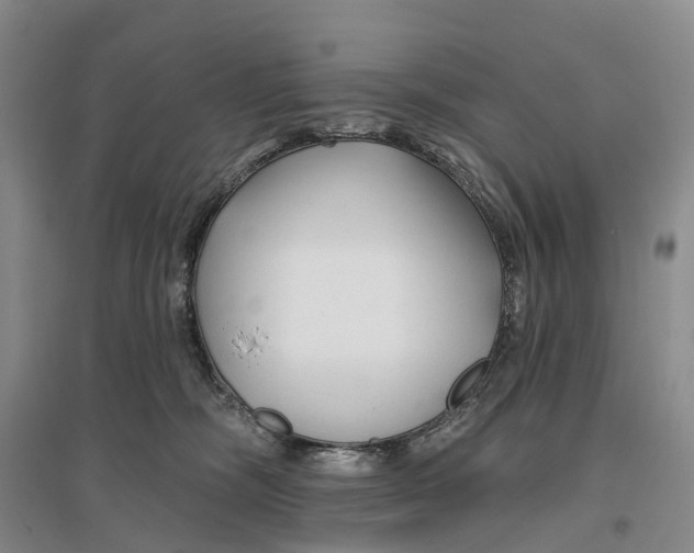 X0000096710326200802261635