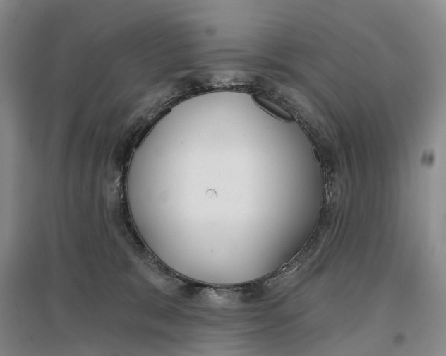 X0000096710327200802261635