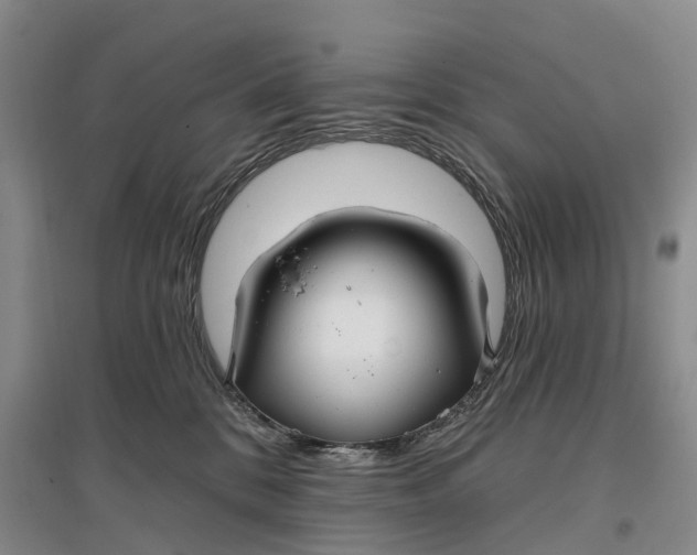 X0000096710328200802261635