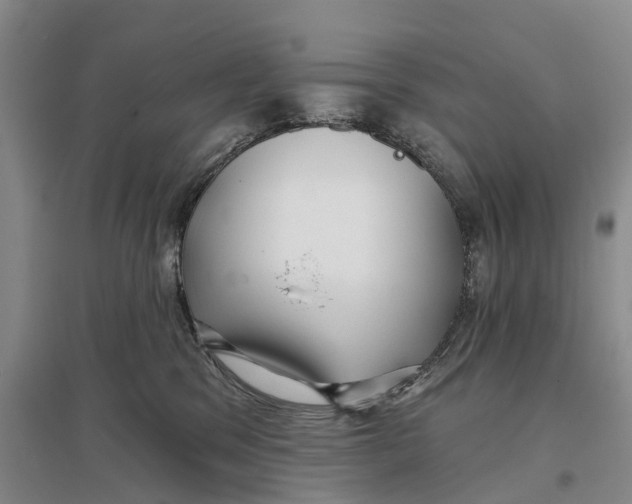 X0000096710329200802261635