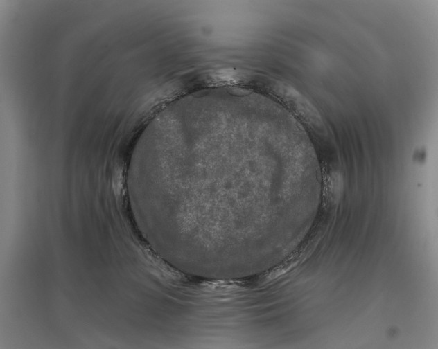 X0000096710331200802261635