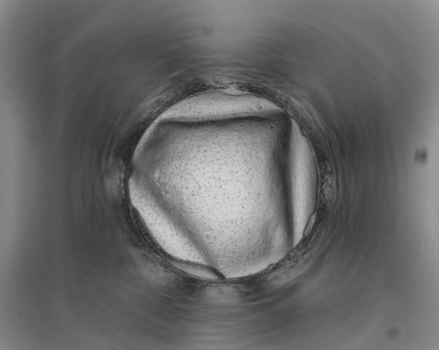 X0000096710332200802261635