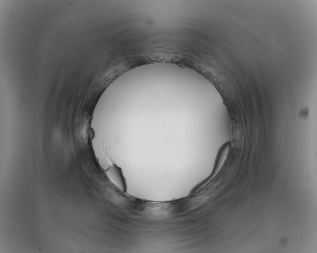 X0000096710334200802261635