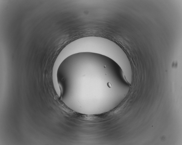 X0000096710336200802261635