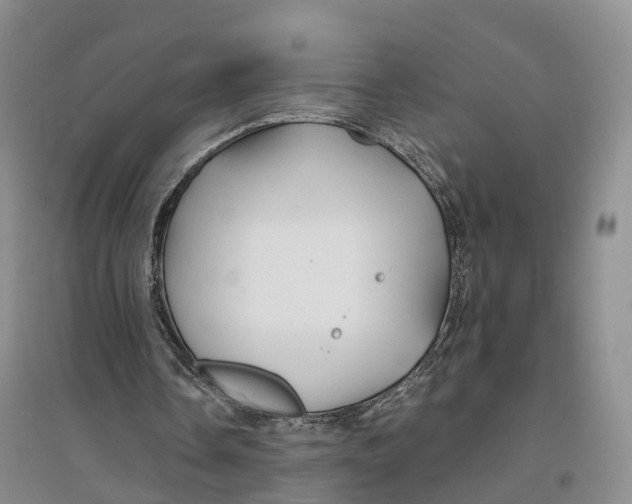 X0000096710338200802261634