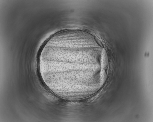 X0000096710342200802261634