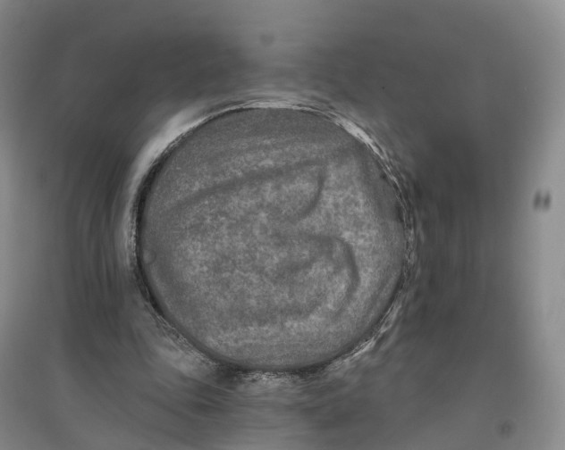 X0000096710343200802261634