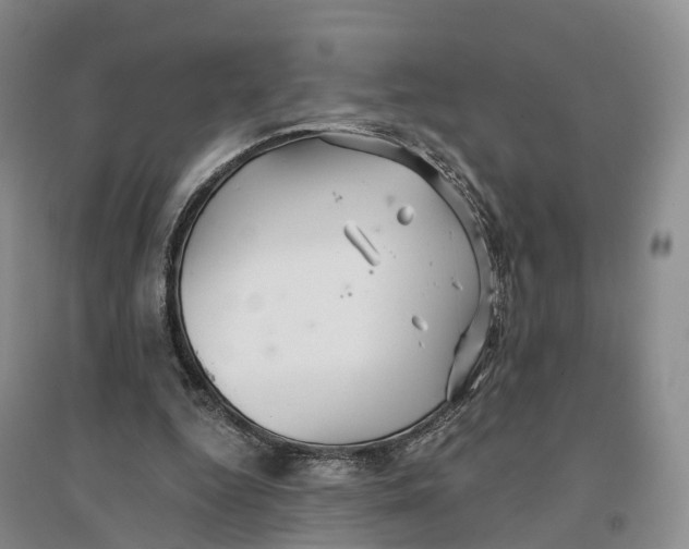 X0000096710344200802261634