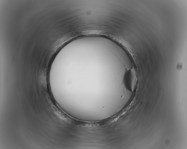 X0000096710345200802261634