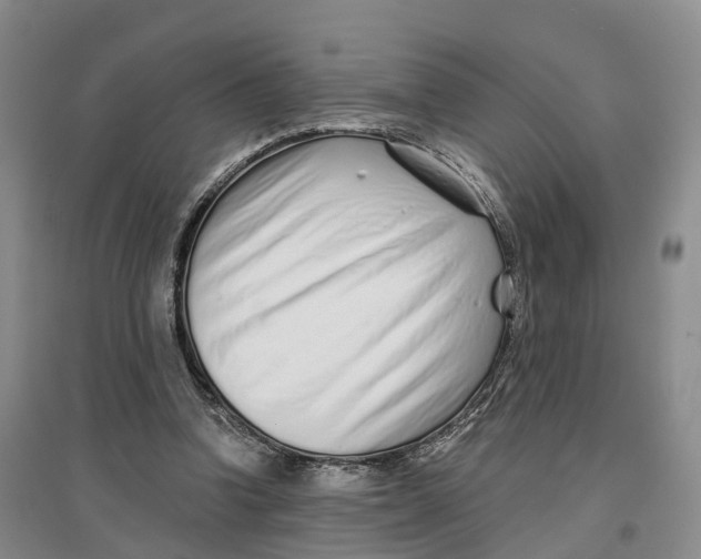 X0000096710346200802261634