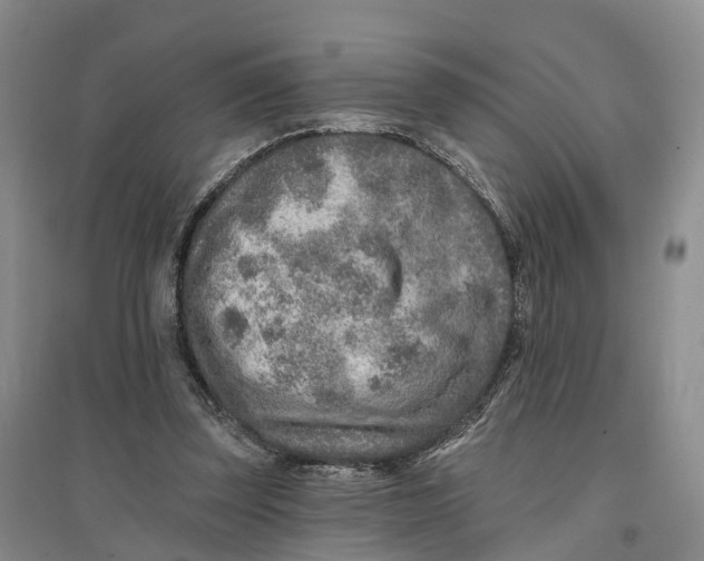 X0000096710347200802261634