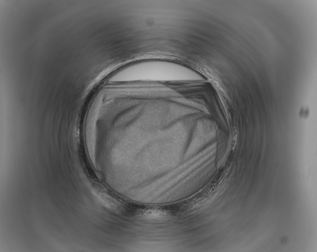 X0000096710348200802261634