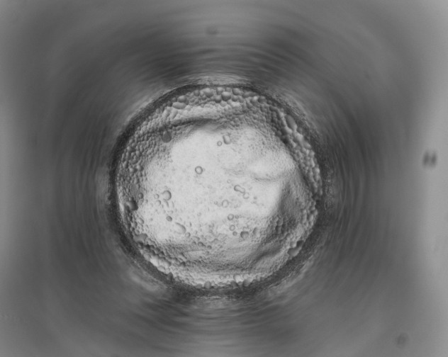 X0000096710351200802261634