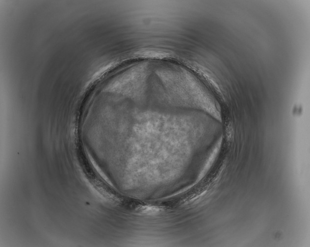 X0000096710352200802261634