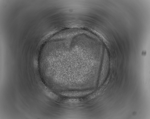 X0000096710353200802261634