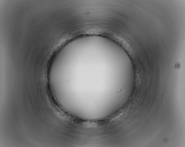 X0000096710354200802261634