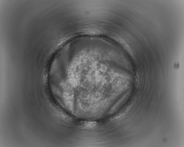 X0000096710355200802261634