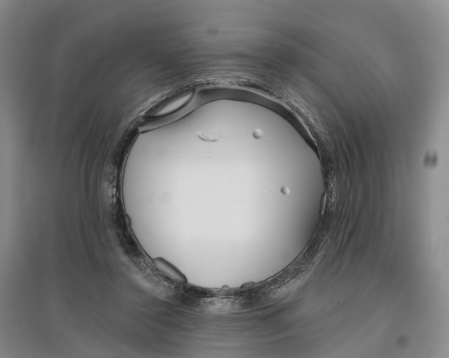 X0000096710356200802261634