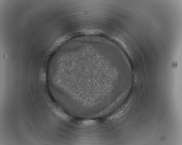 X0000096710357200802261634