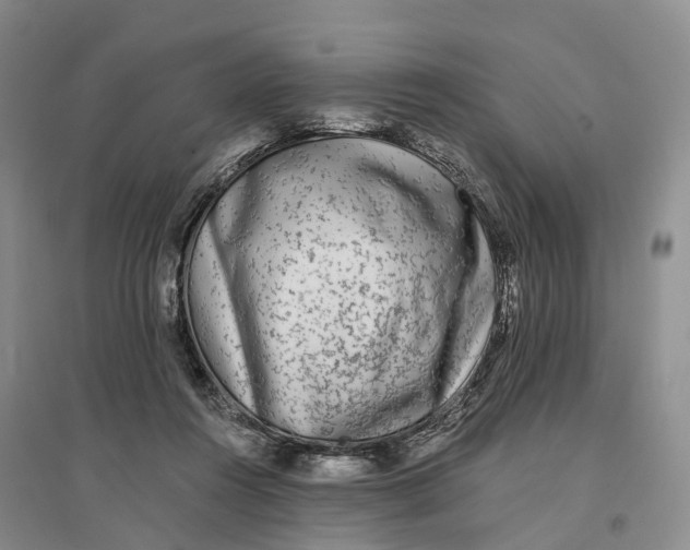 X0000096710360200802261635