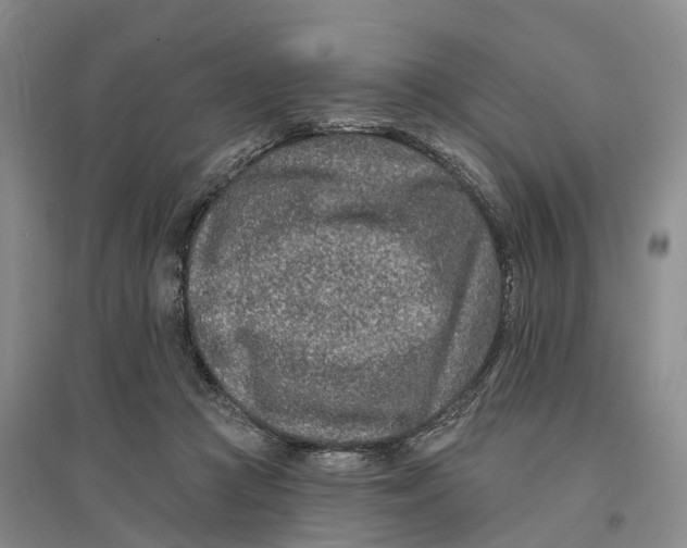 X0000096710361200802261635