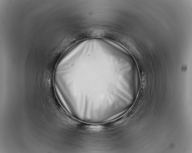 X0000096710363200802261635