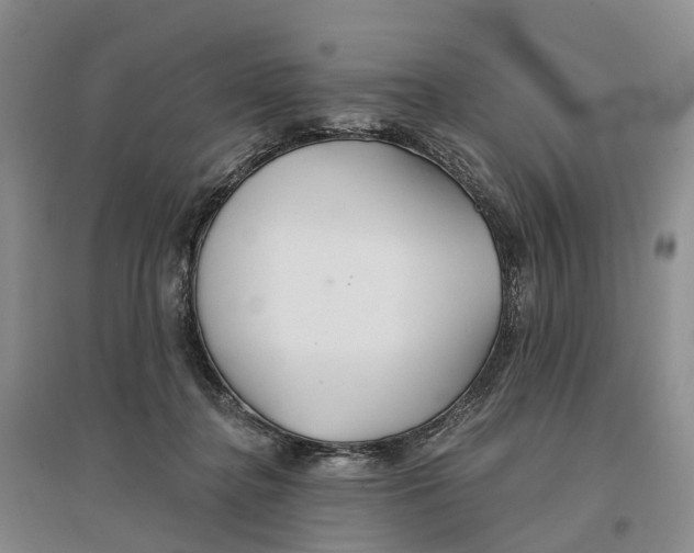 X0000096710364200802261635