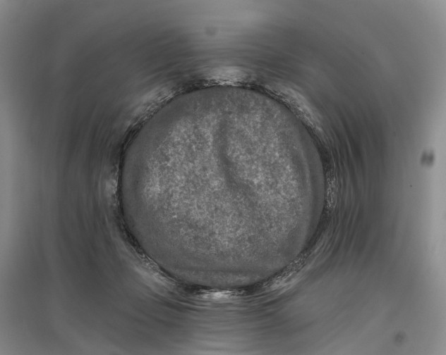 X0000096710365200802261635