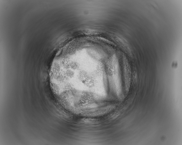 X0000096710367200802261635