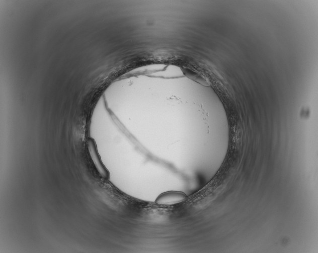 X0000096710368200802261635