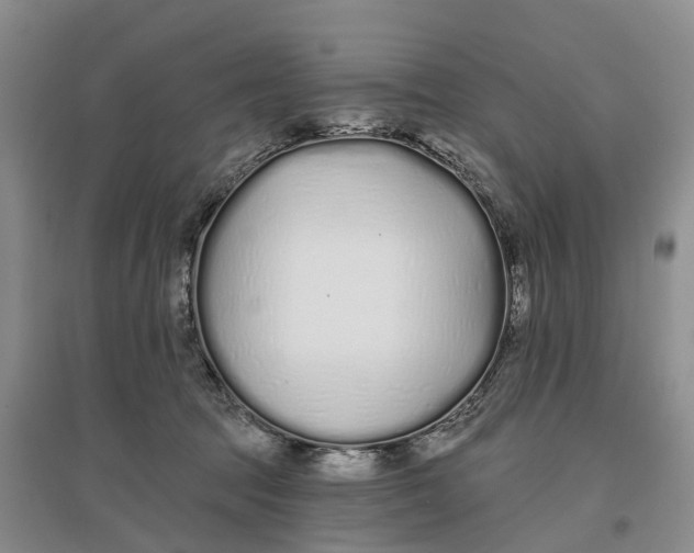 X0000096710369200802261635