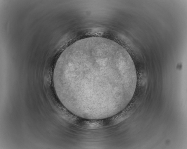 X0000096710370200802261635