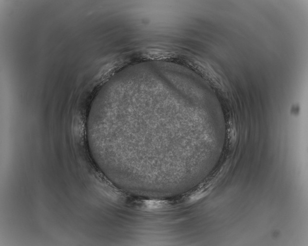 X0000096710371200802261635