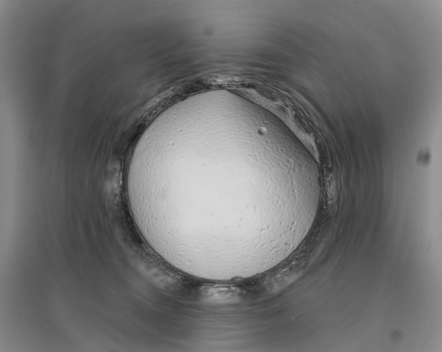 X0000096710372200802261635