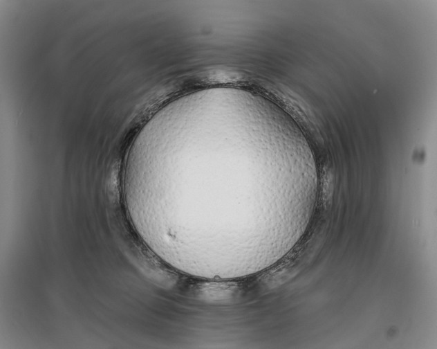 X0000096710373200802261635