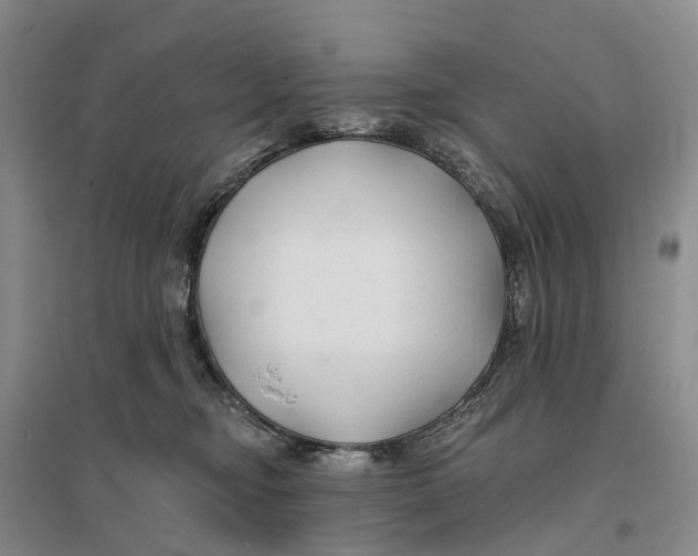 X0000096710374200802261635