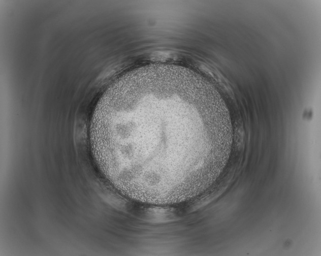 X0000096710375200802261635