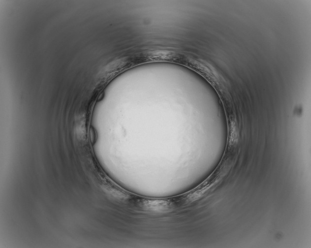 X0000096710377200802261635